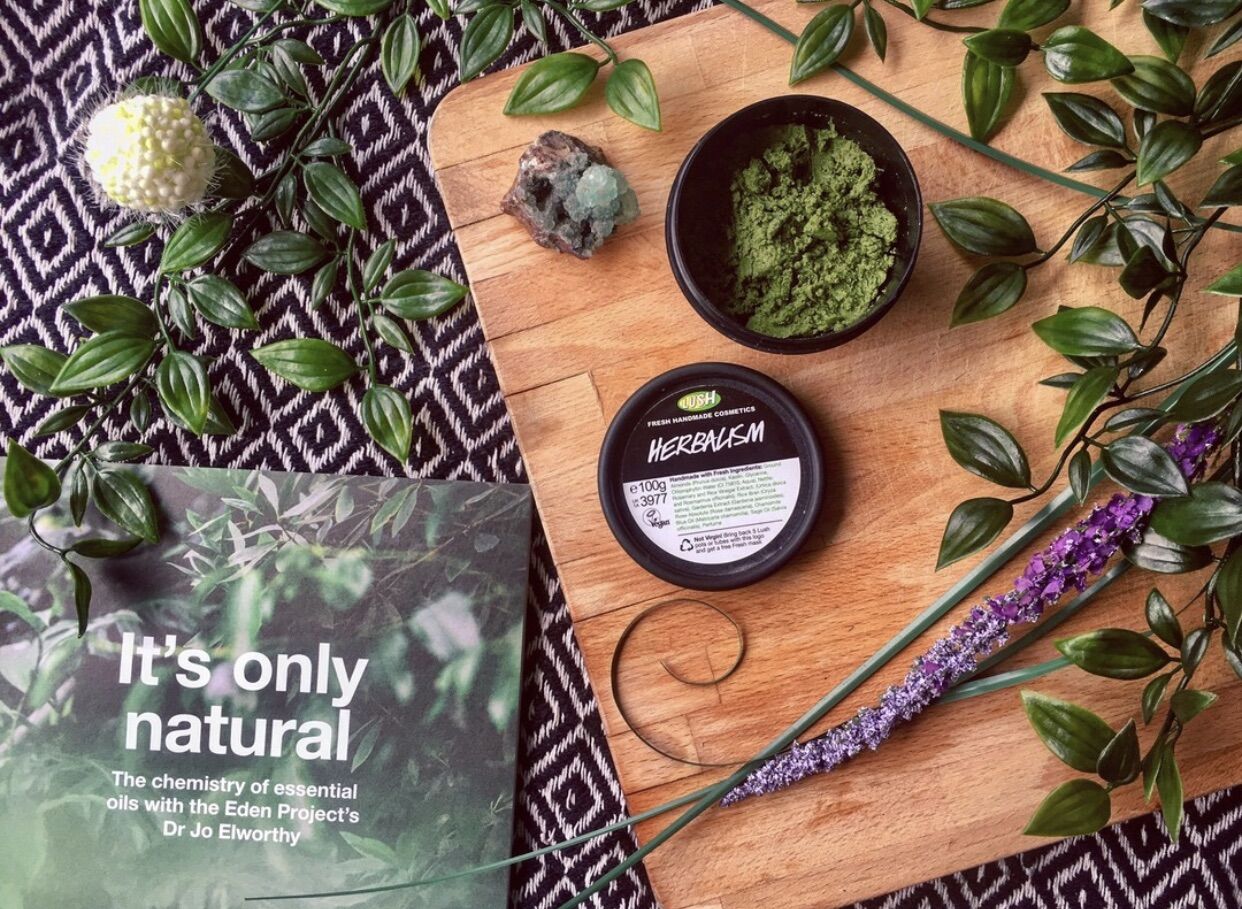 Bột rửa mặt LUSH - Herbalism Cleanser