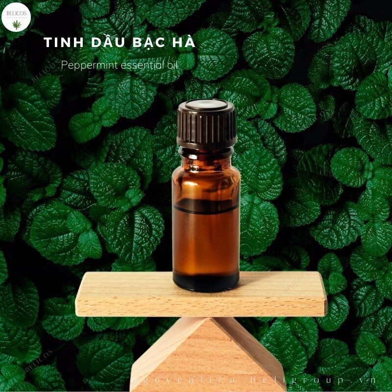 Tinh dầu Bạc Hà Ấn Độ nguyên chất