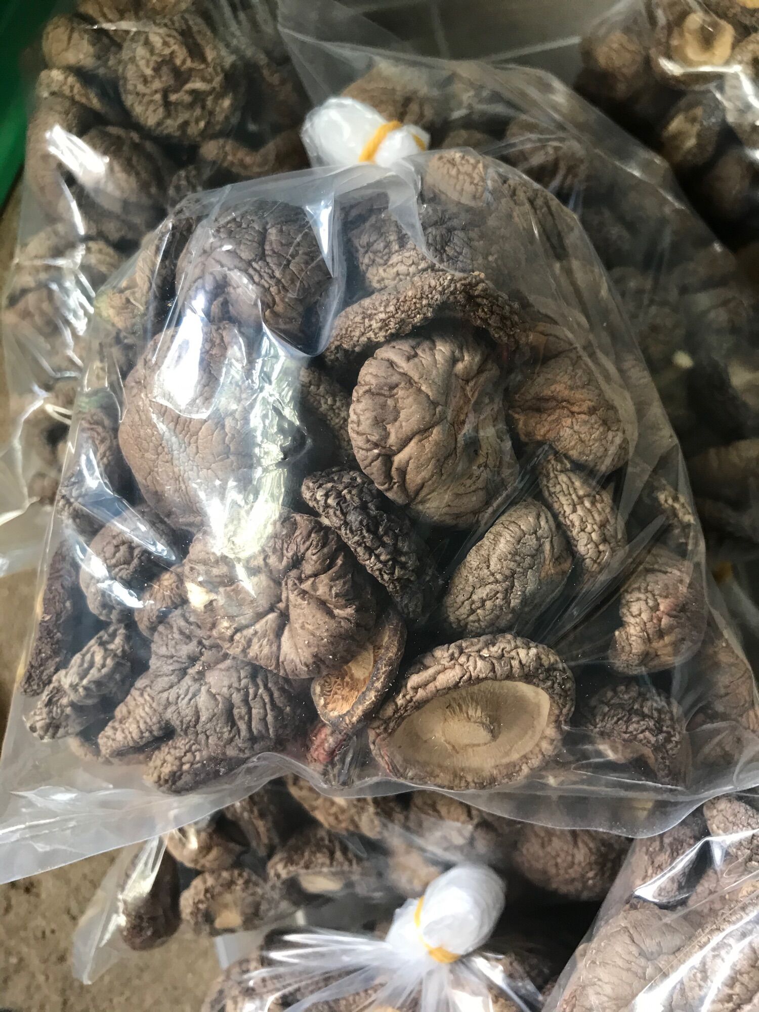 100gr nấm đông cô đẹp, to vừa