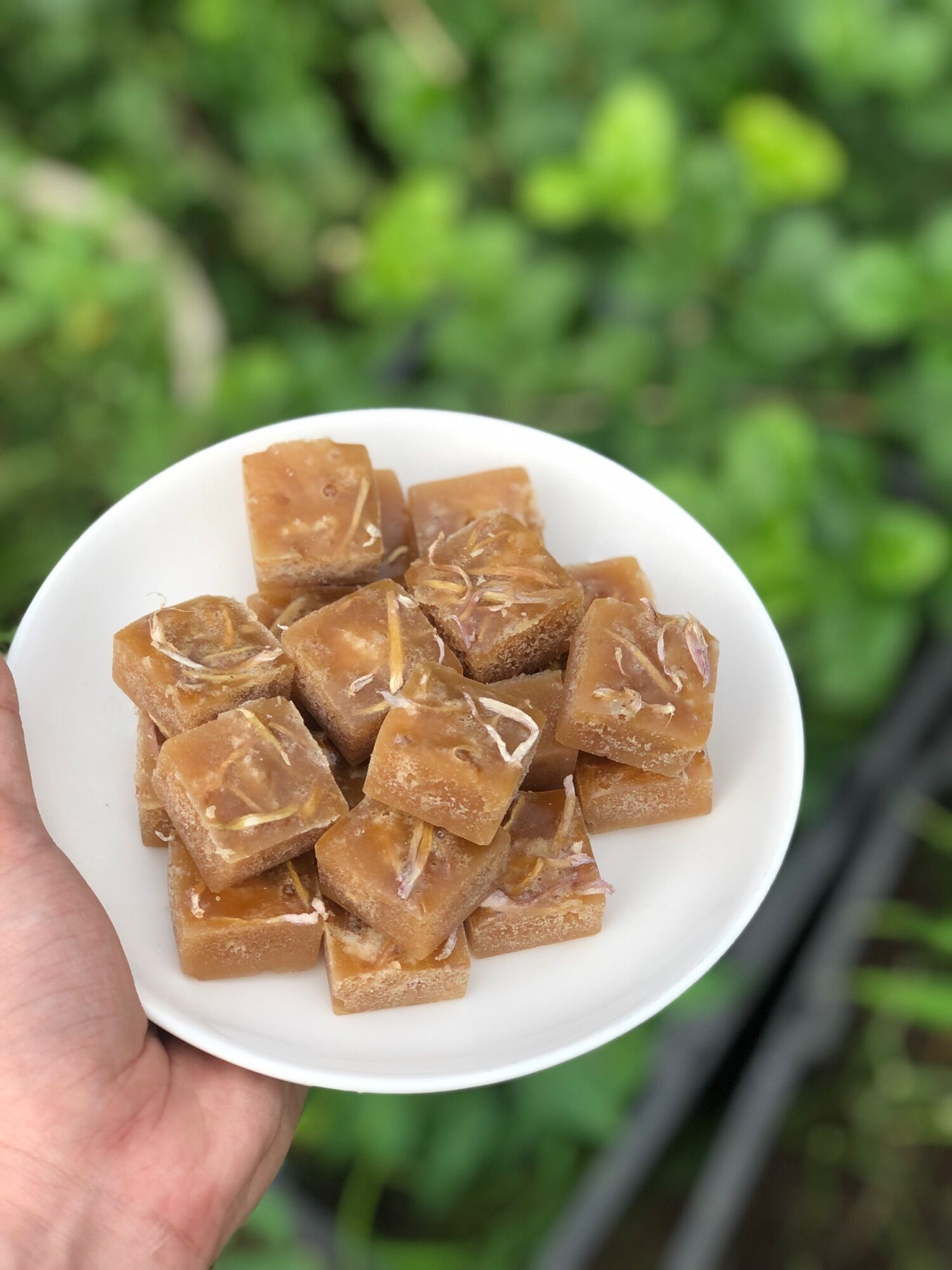 Set 10 Viên Trà Gừng Olong Đường Phèn Giúp Ấm Bụng, Kích Thích Tiêu Hoá, Tăng Đề Kháng