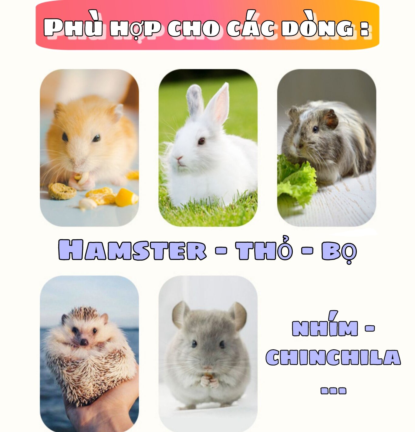 Dây dắt thú cưng nhỏ - Hamster, bọ thỏ