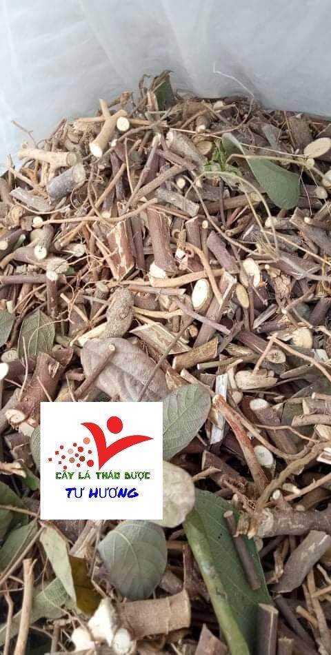 Cây đuôi chồn khô (0.5- 10kg) xương khớp