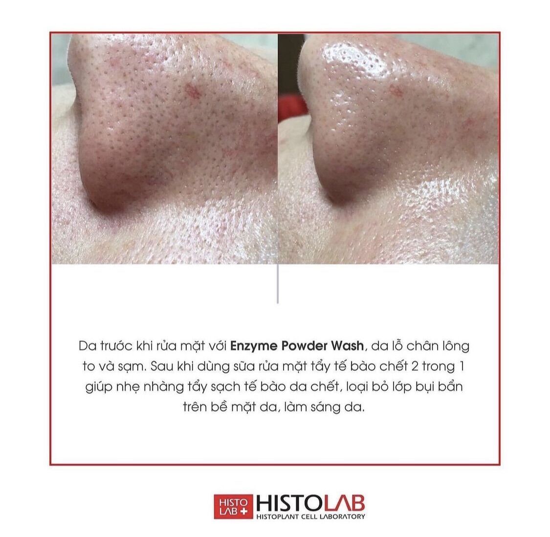 Histolab Enzym Powder Wash 50g
