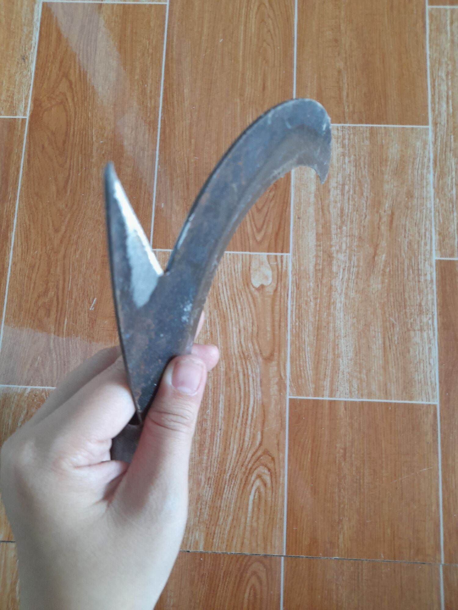 cu liêm đực dừa dụng cụ làm vườn