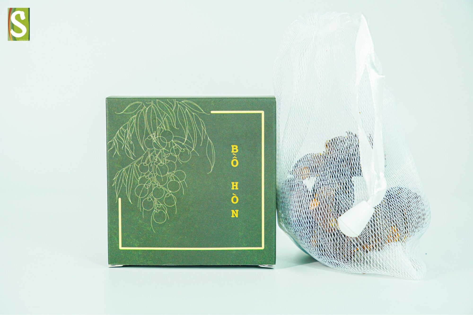 Bồ hòn Trường Sơn Xanh