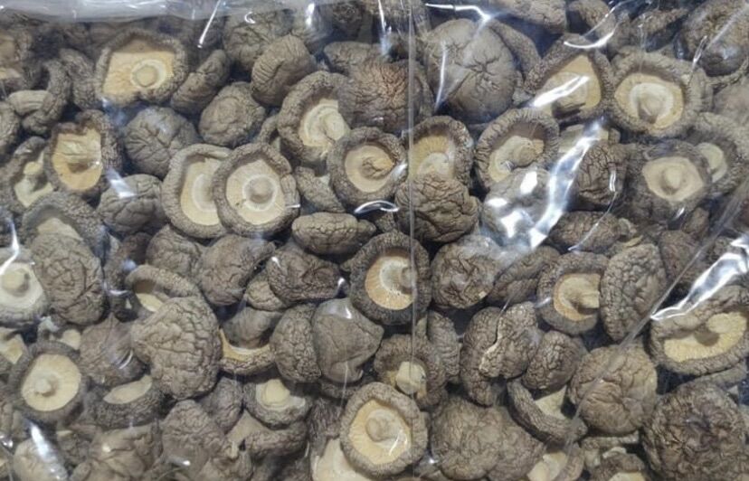 1KG NẤM ĐÔNG CÔ LOẠI 1 (Nấm Size To Đều, Dày, Khô, Luôn Về Mới)