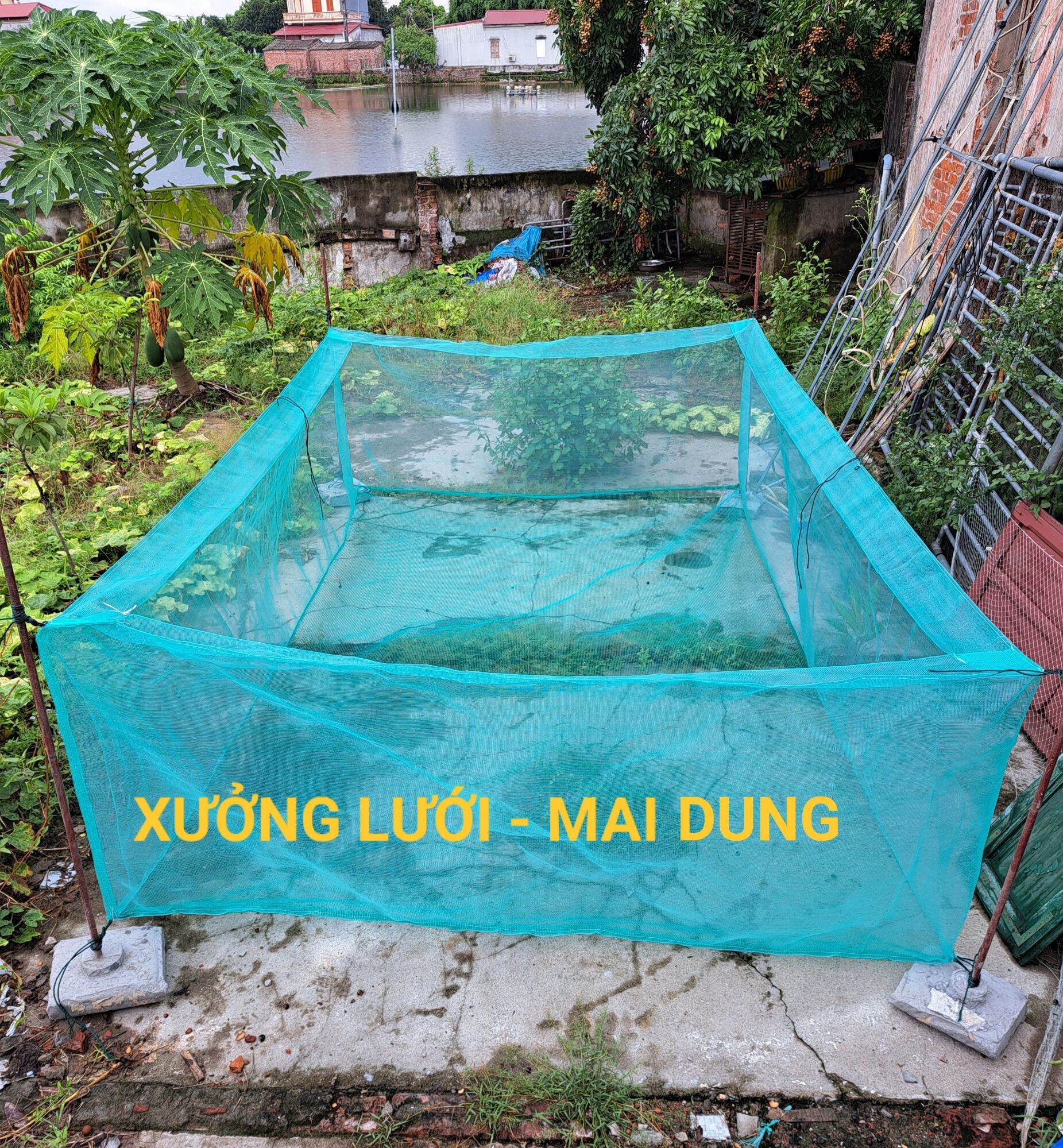 Lồng nuôi ếch, vèo lưới nuôi ốc ếch cá