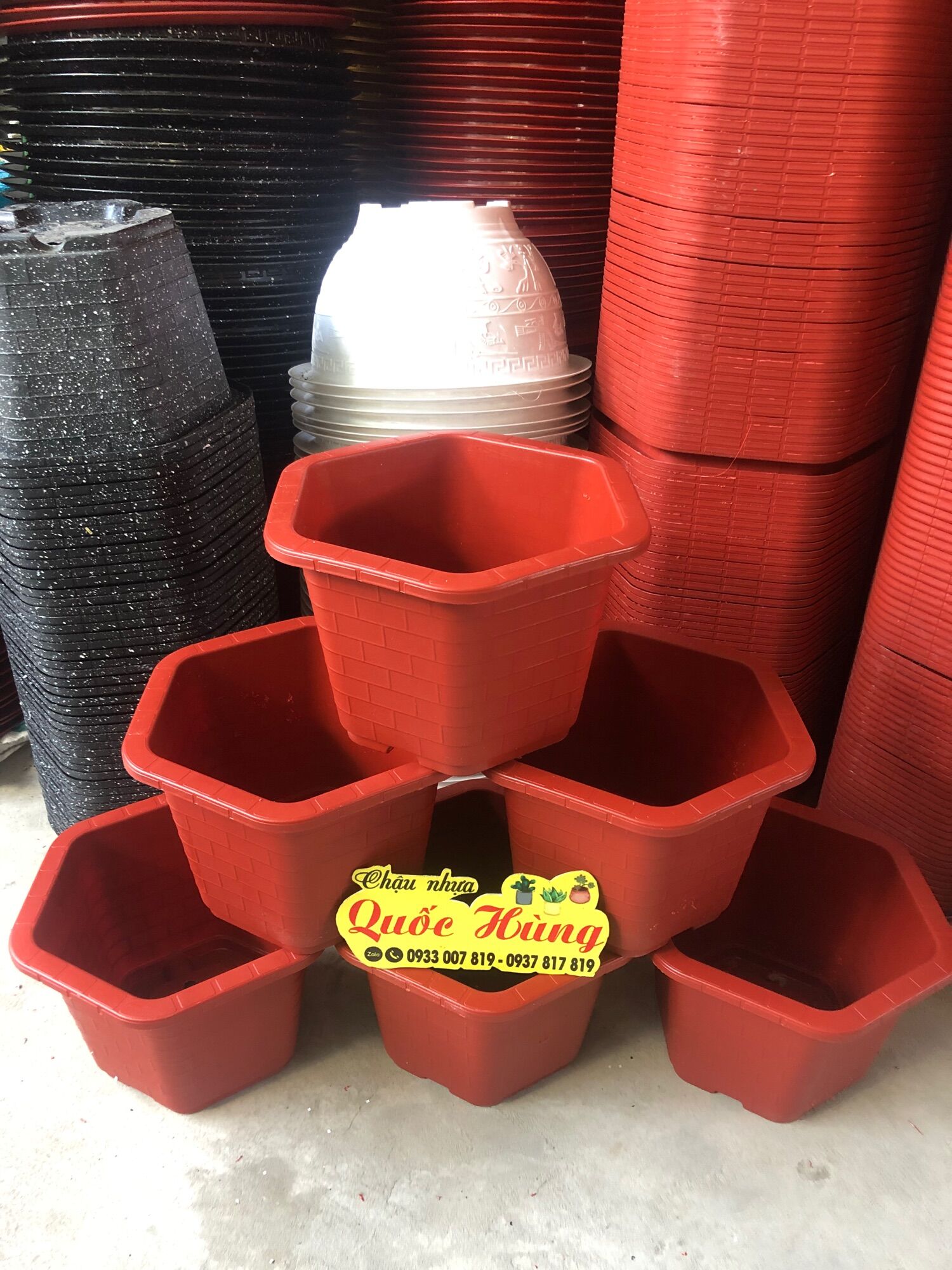 Combo 5 chậu FA450