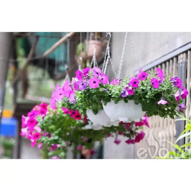 Chậu treo chảo, dây xích 26x12cm ( gồm chậu và móc xích )