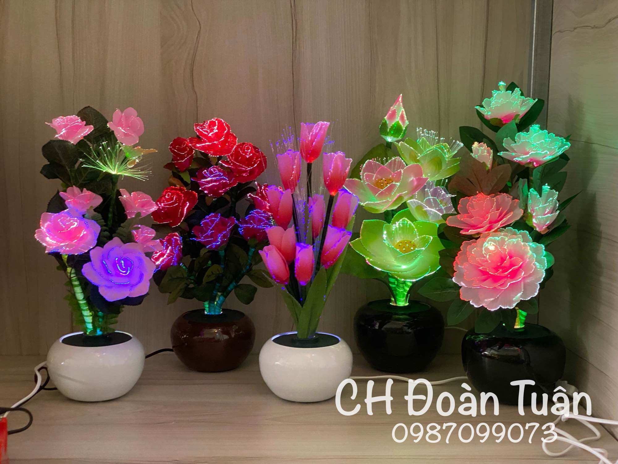 Chậu hoa đèn LED để bàn trang trí - đèn bình hoa thủy tinh