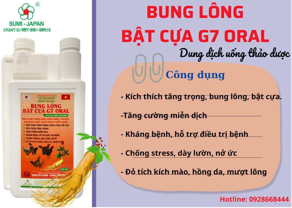 Bung lông bật cựa G7 vỗ béo