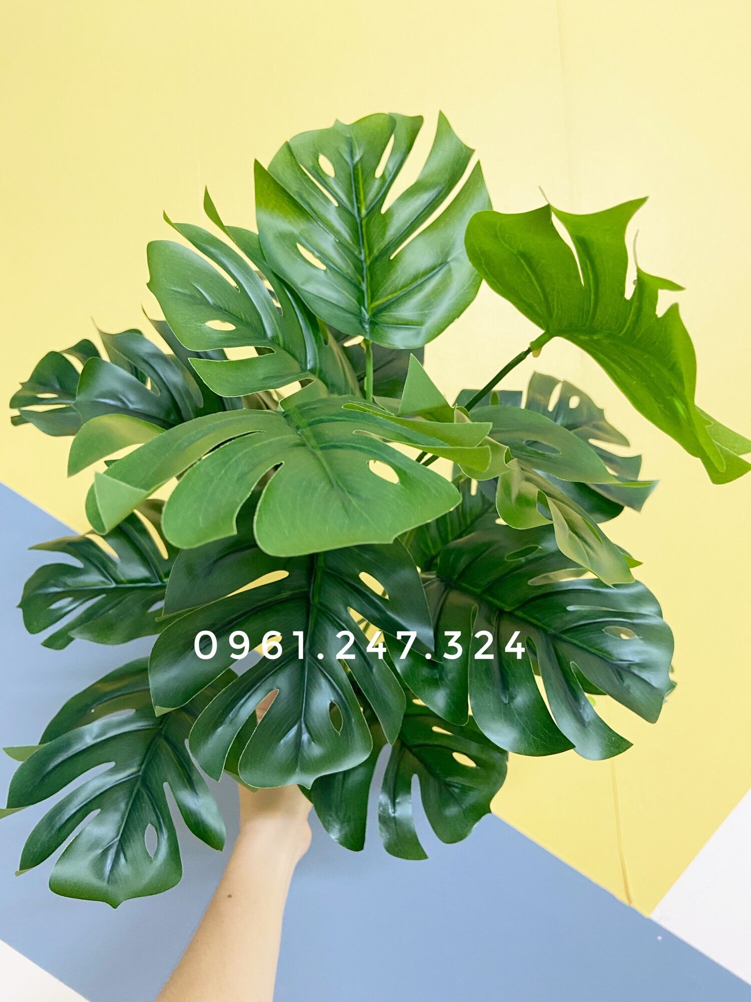 Cây giả - cây lá rùa 50cm