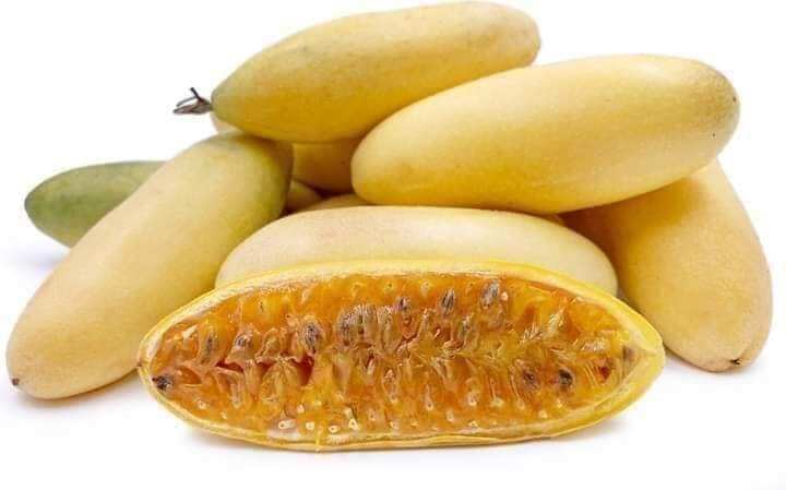 Cây giống chanh leo chuối