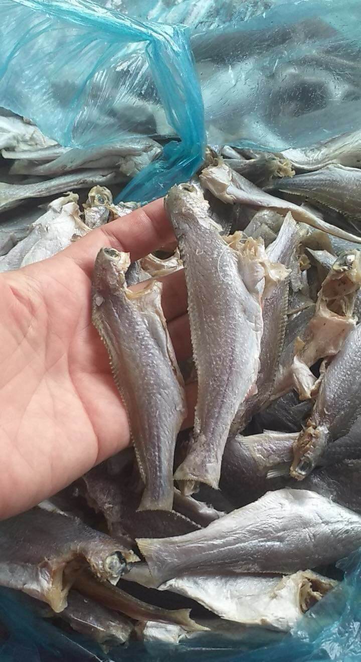 KHÔ CÁ ĐÙ MẶN 500GR