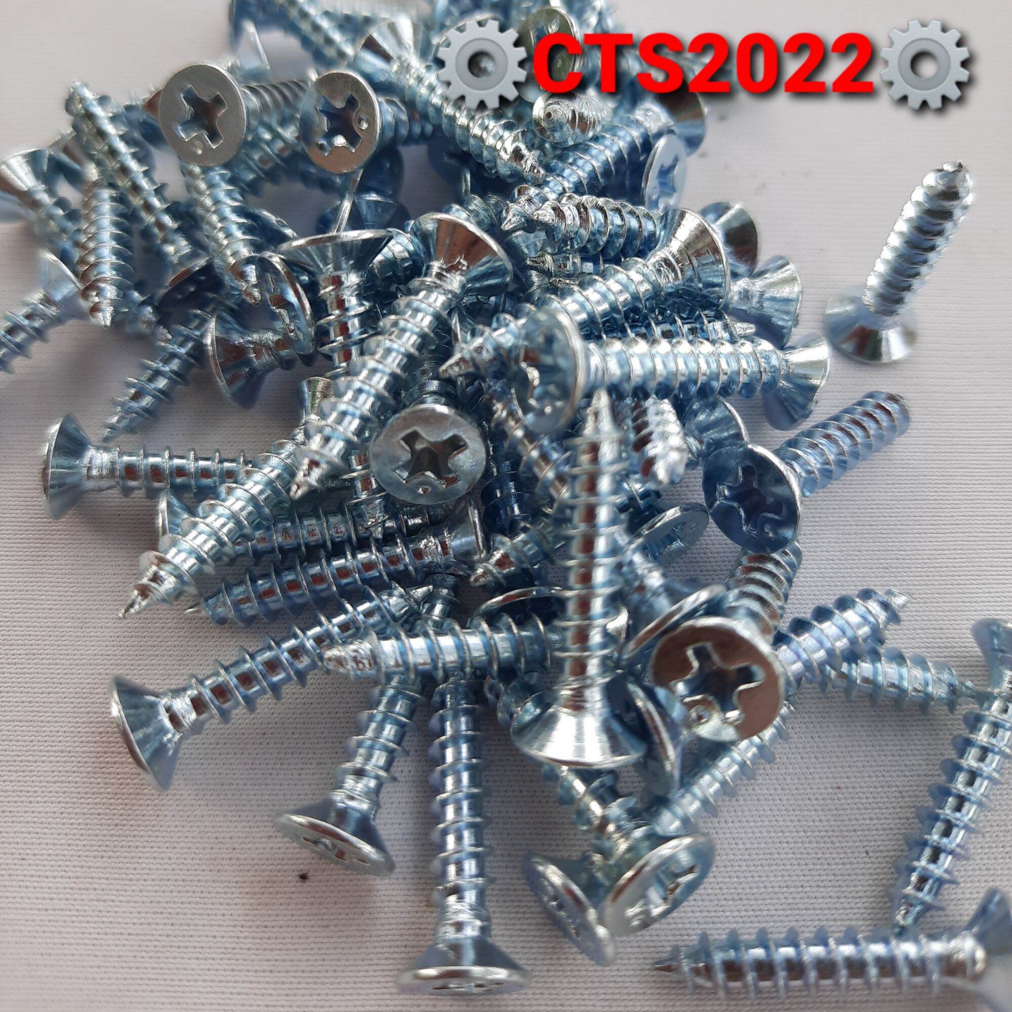 10 Con vít 4ly đầu côn dài 20mm