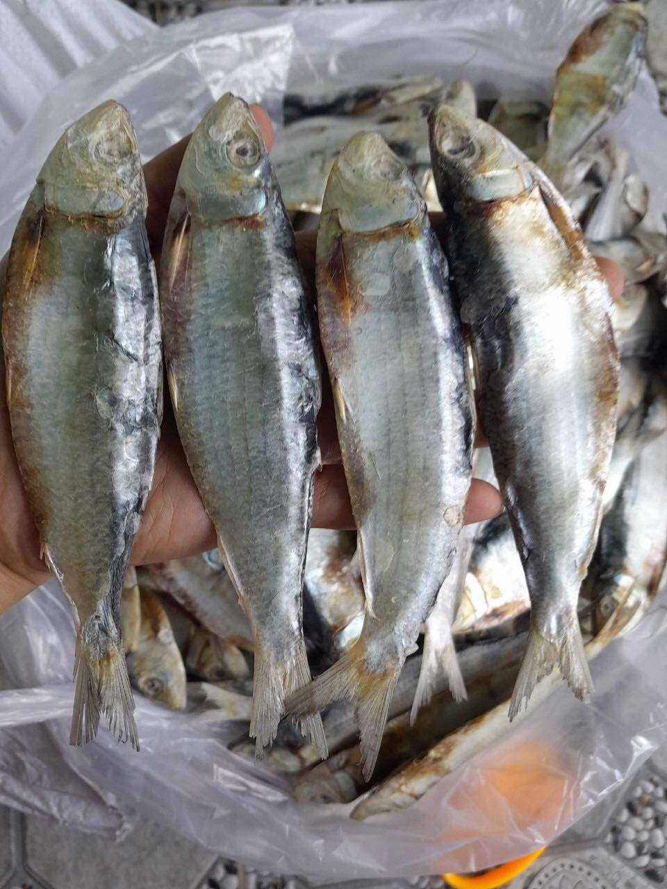 Khô cá trích loại ngon (1 ký 60-70 con)
