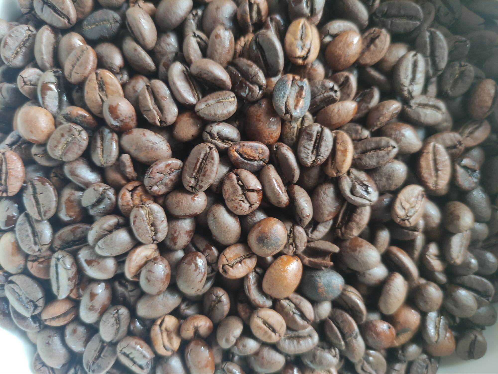 Cà phê hạt Robusta rang mộc - 1kg