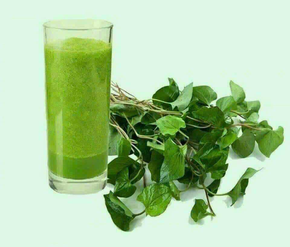 BỘT DIẾP CÁ SẤY LẠNH NGUYÊN CHẤT