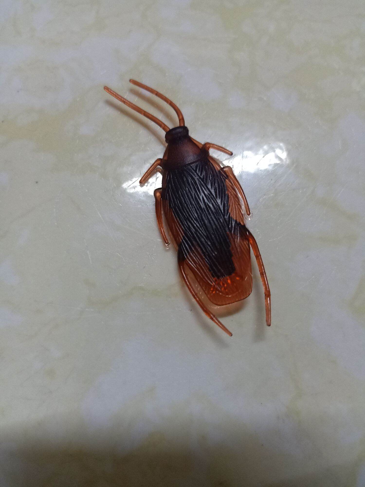 sét 3 con côn trùng giả (gián, rết, bò cạp)