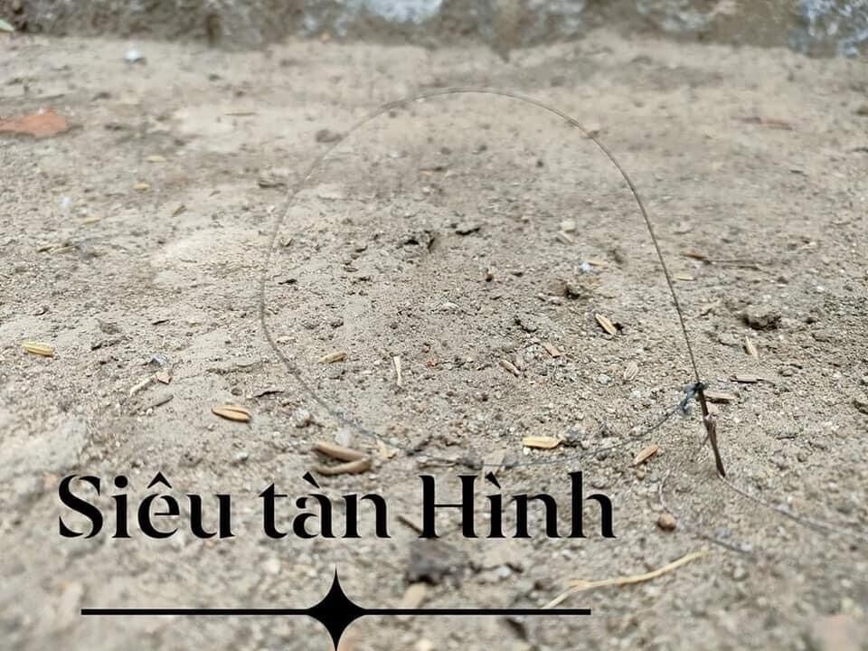 Giò Cu 432 Vip Nhất Thị Trường 10 Chân