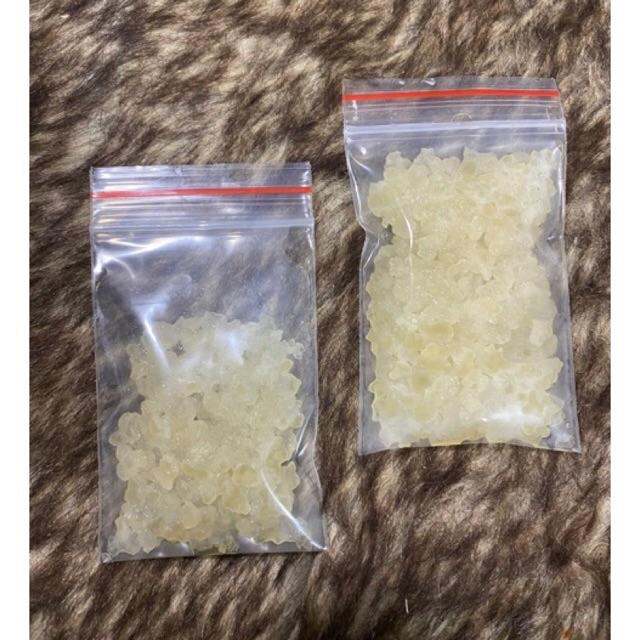 Men Nước Water Kefir nấm nước dừa kefir dừa