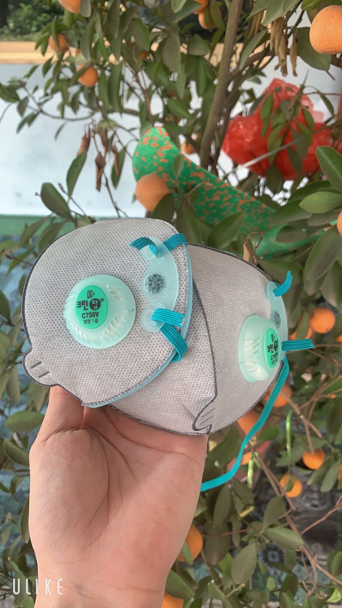 5 cái Khẩu trang c750V hàn quốc