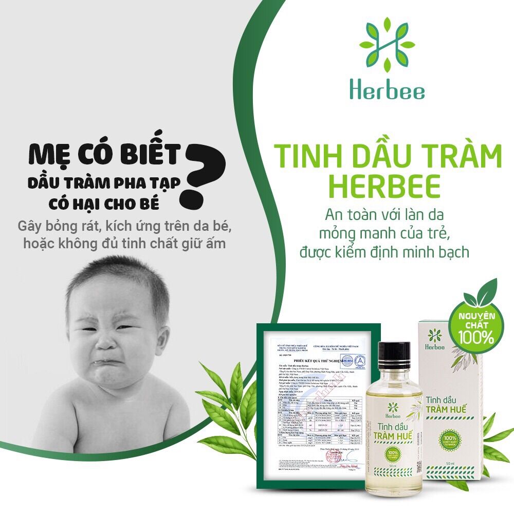 Tinh Dầu Tràm Huế Herbee Nguyên Chất