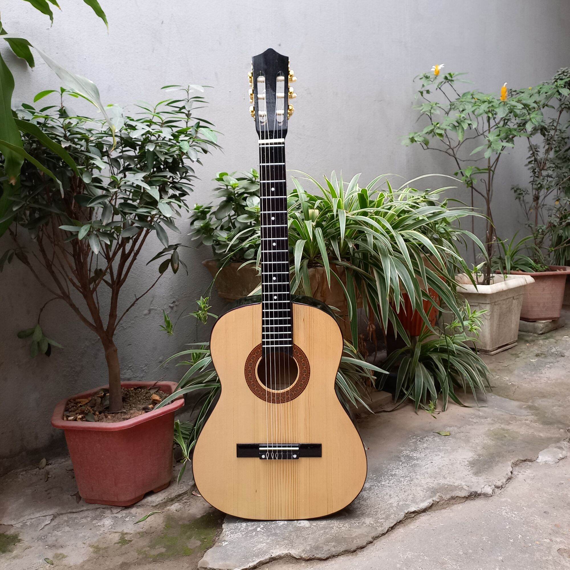 Guitar classic S45 kèm bao + dây dự phòng cho người mới tập chơi