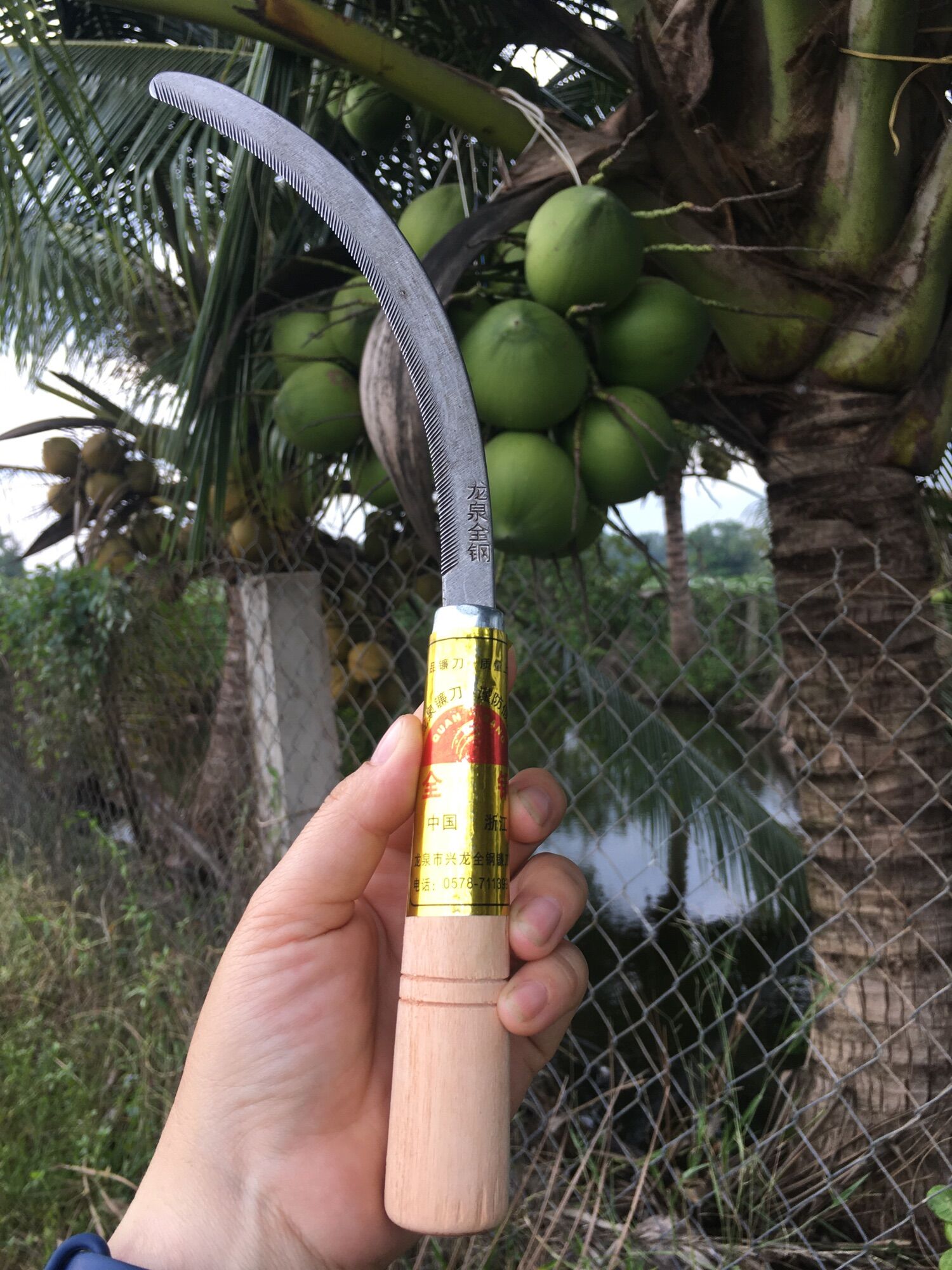 SET 3 CÂY LIỀM CÁN GỖ CẮT DỪA,CỎ VOI