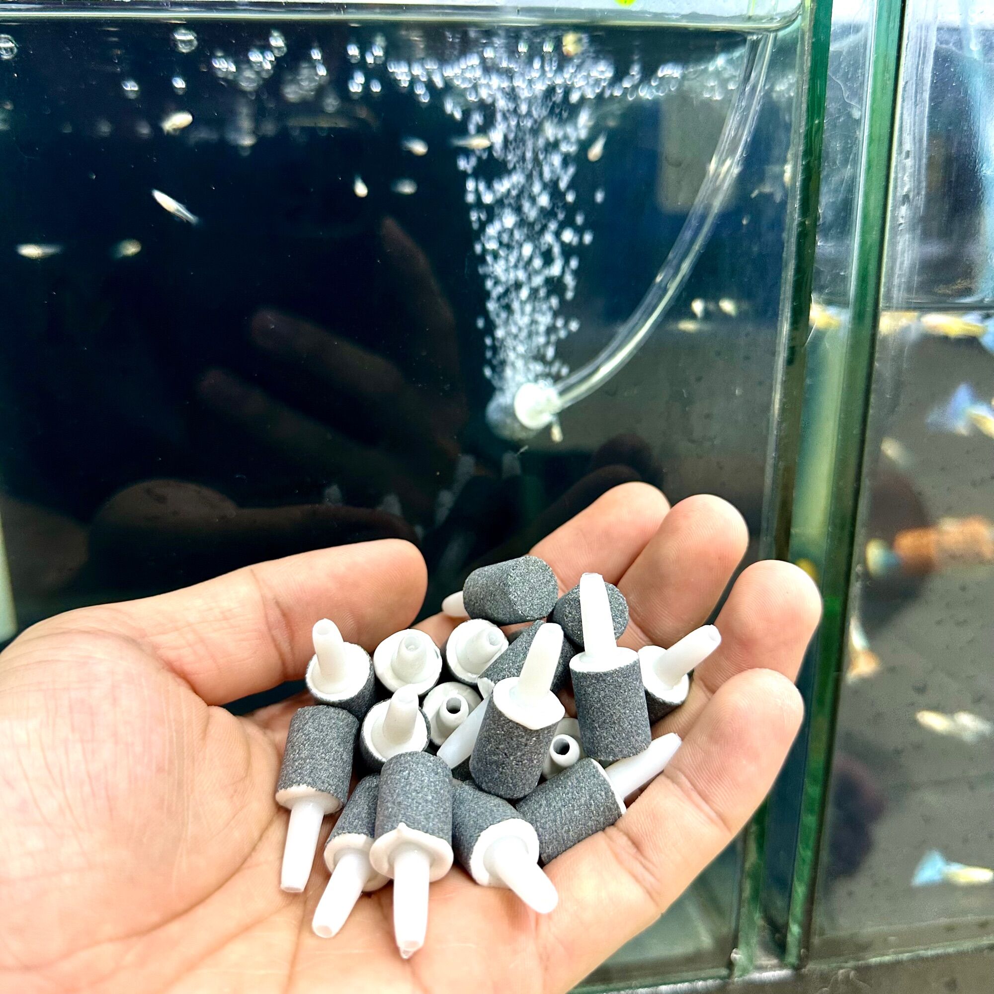 Viên sủi oxi siêu mịn - sủi oxy taiwan - mini