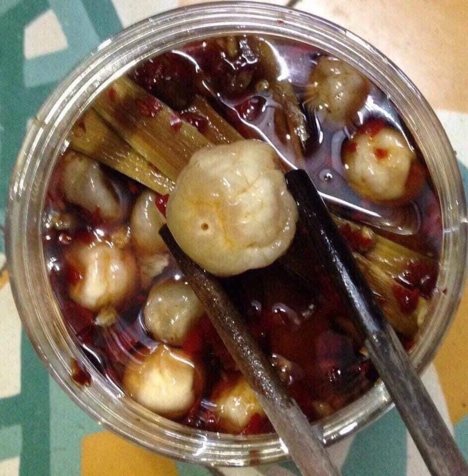 Cà teo nghệ an