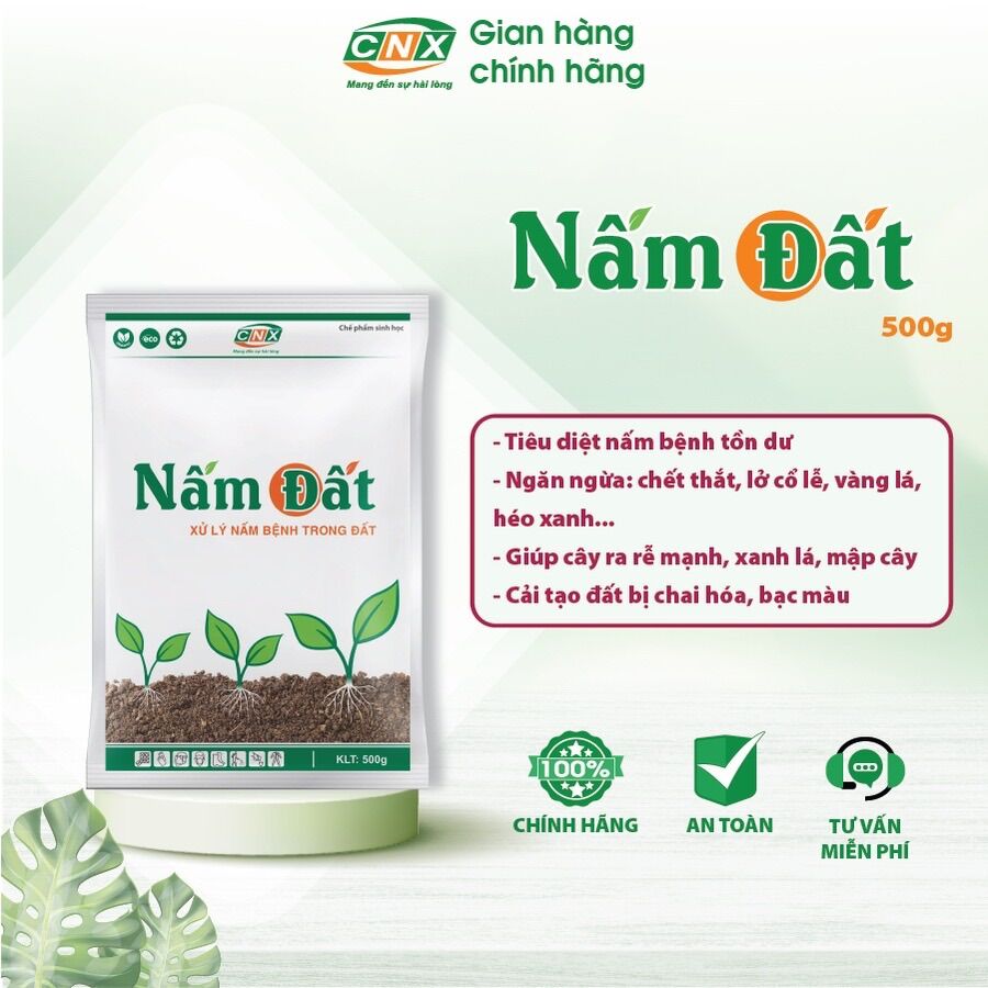 Chế phẩm sinh học NẤM ĐẤT xử lý nấm bệnh trong đất, tiêu diệt nấm tồn dư, hạn chế chết cây con - thối rễ gốc - CNX 500g