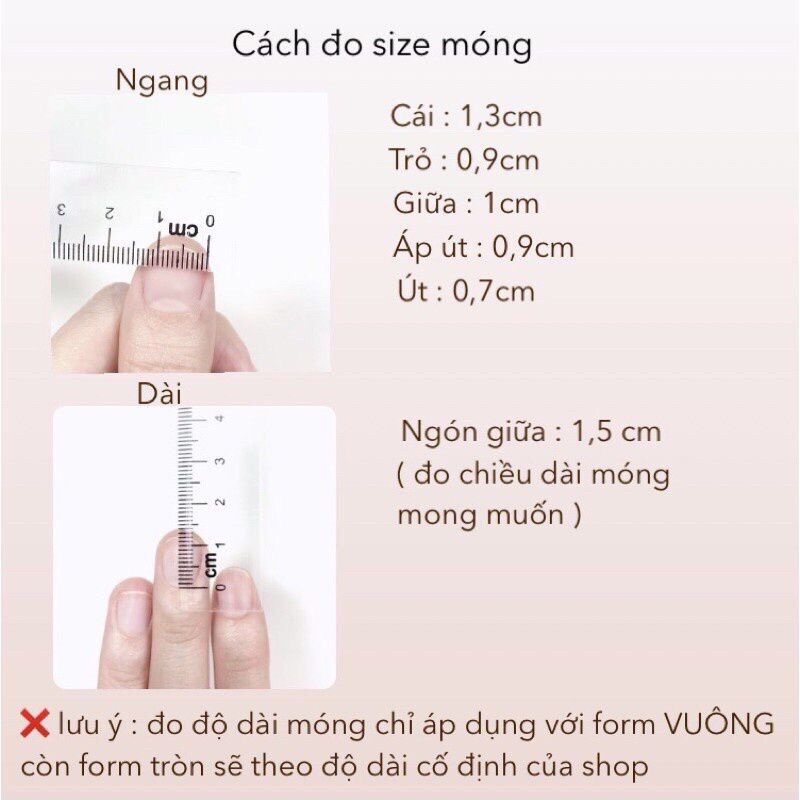 Nailbox thiết kế gấu dâu
