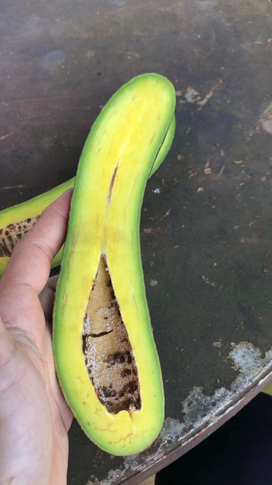 4 kg bơ 034 size 4_5 quả / kg