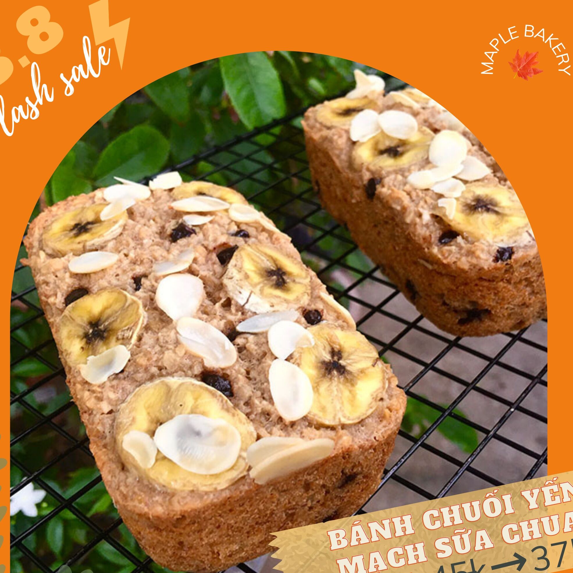 [CHỈ SHIP HÀ NỘI] Bánh chuối yến mạch sữa chua 250g(ship miền bắc)