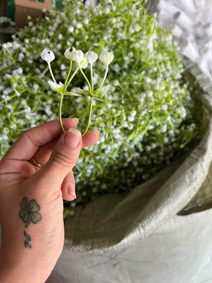 100gr cỏ điểm baby trắng, dùng điểm cho hoa sáp, hoa handmade