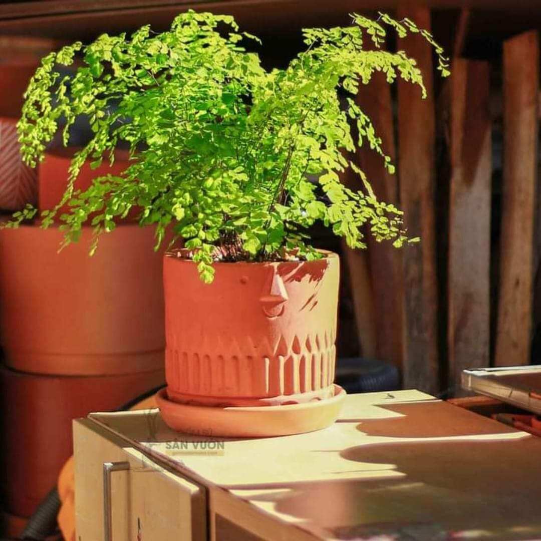 Chậu trồng cây gốm đất nung (terracotta) hình MẶT CƯỜI TO D18xH16cm - gốm sứ sân vườn Bình Dương chất lượng cao