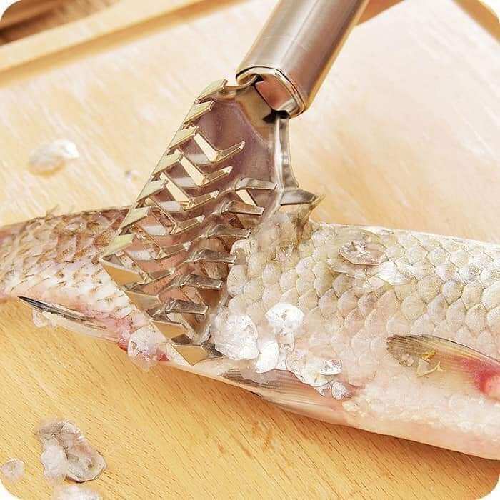 Dụng cụ đánh vảy cá inox siêu bền