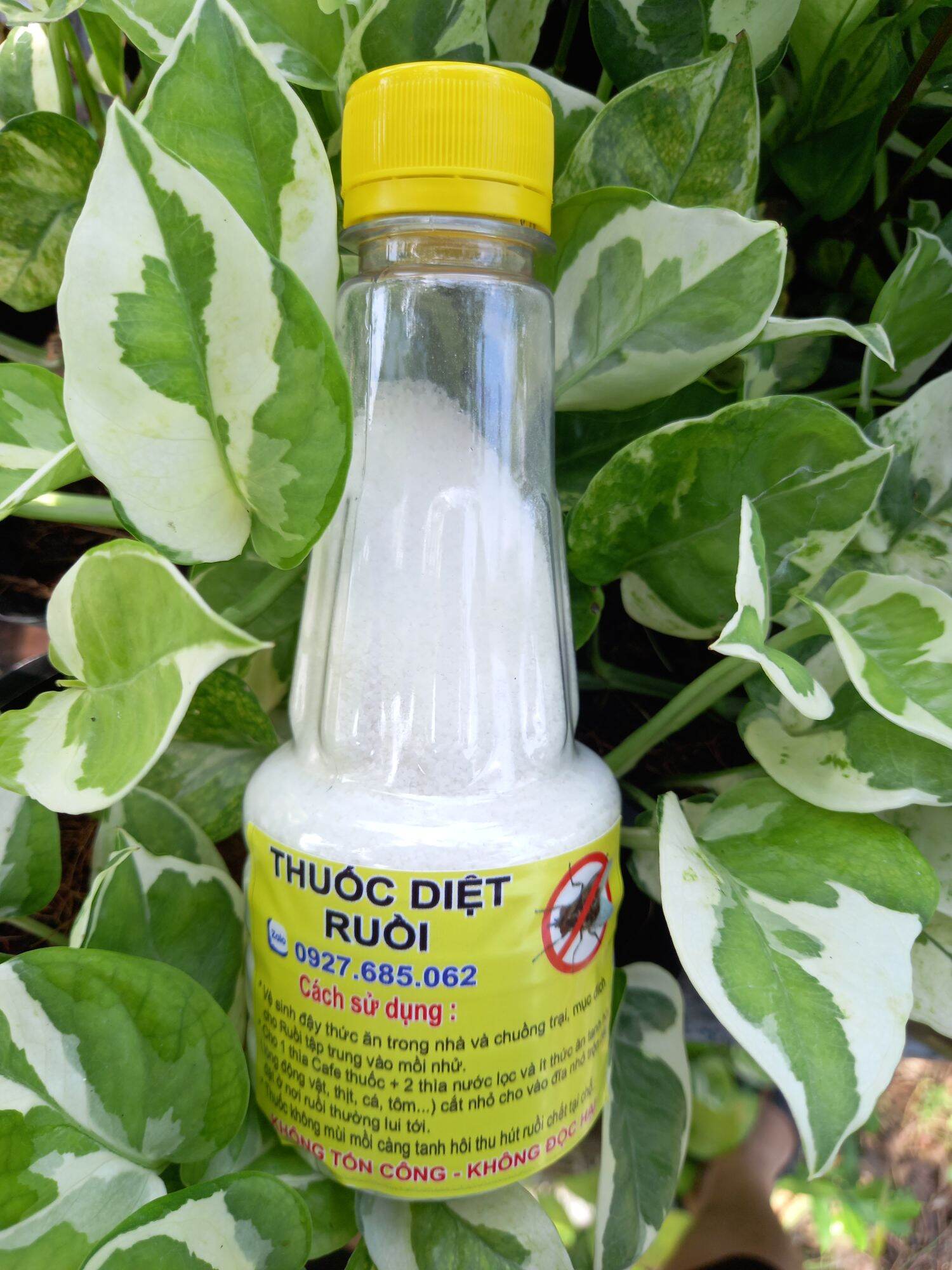 Thuốc diệt ruồi hiệu quả cao an toàn