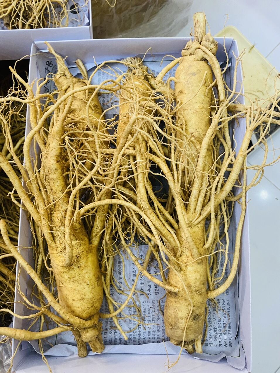 1 củ sâm tươi hàn quốc loại 5 củ 1kg