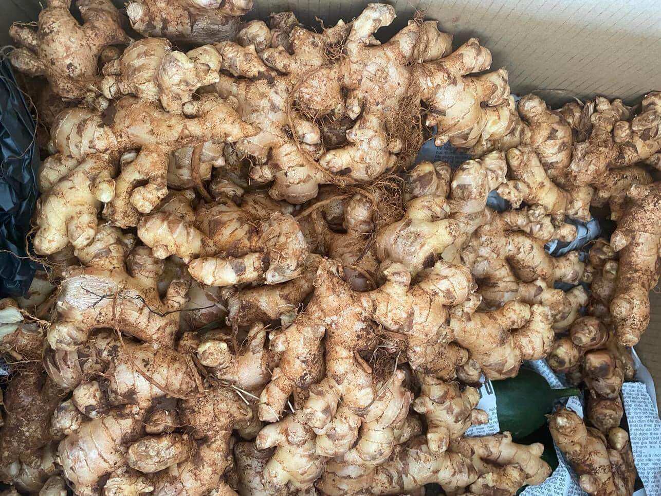 Mứt gừng 500gram