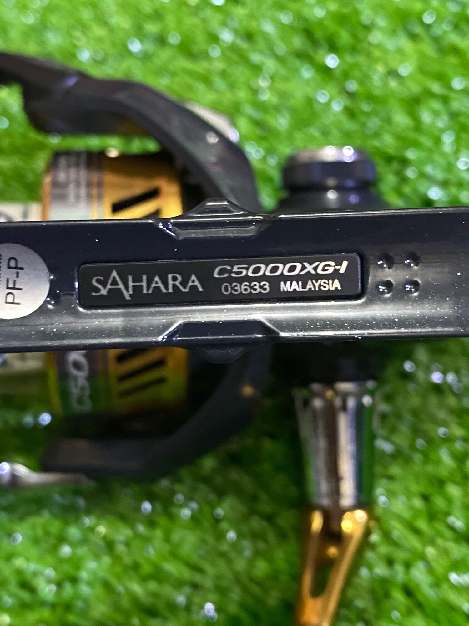Máy câu shimano sahara C5000