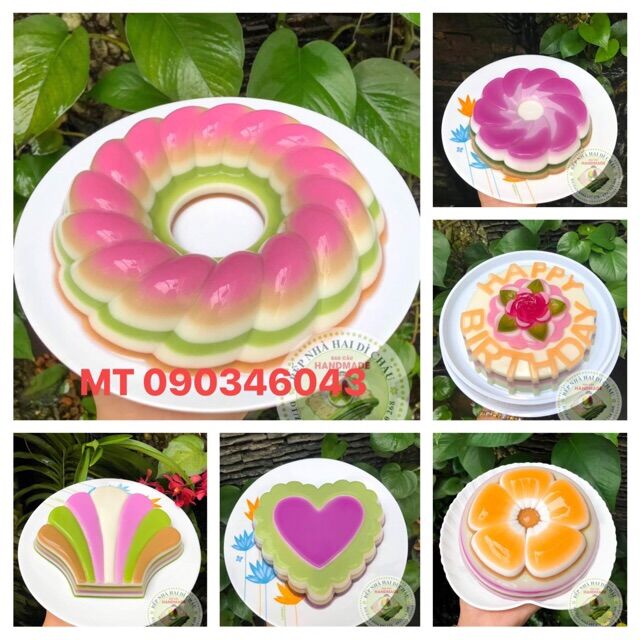 Khuôn rau câu /nhận xôi cơm 20cm nhựa cao cấp Vĩnh Trường