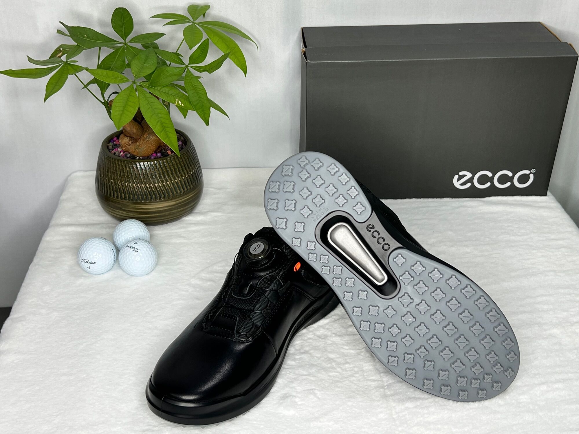 [ Freeship + Quà Tặng 50k] Giày Golf Nam Ecco Nút Vặn- Giày Golf Nam- Golf Shoes