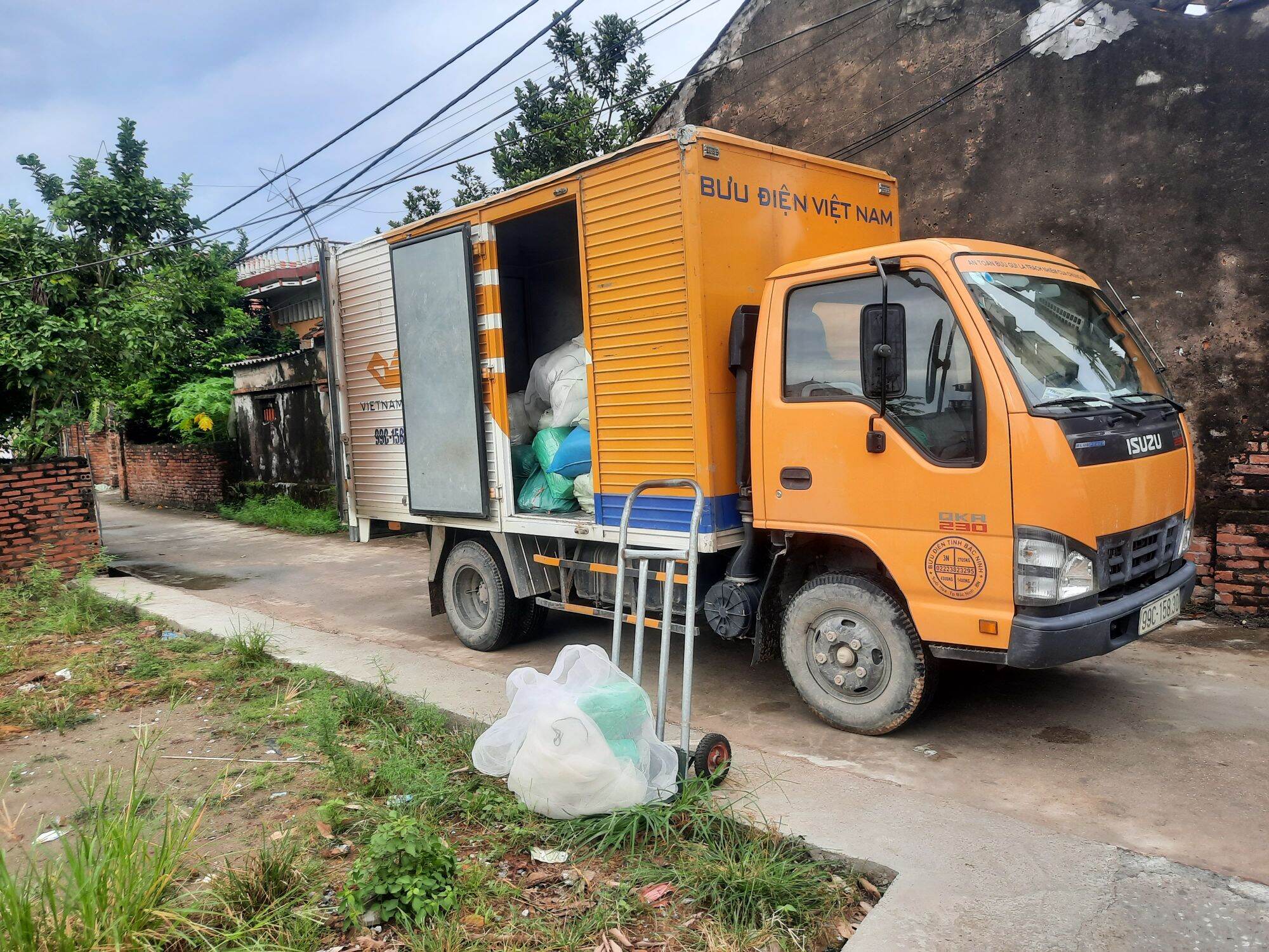 Hồ , bể bạt ươm cá cảnh , cá chọi , cá koi giống