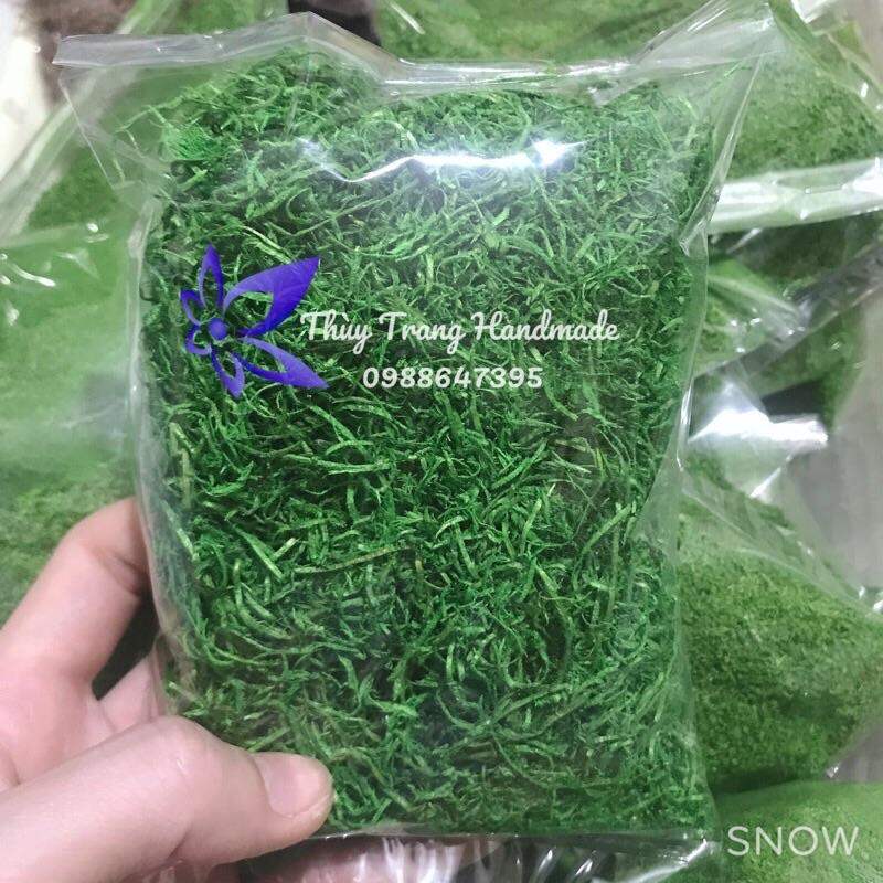 Rêu bột và rêu sợi phủ thân, gốc cây