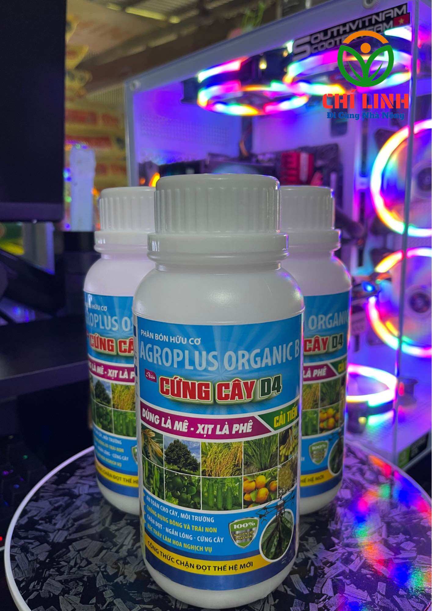 Cứng cây d4 cải tiến, đứng lá, lùn cây, chống đổ ngã