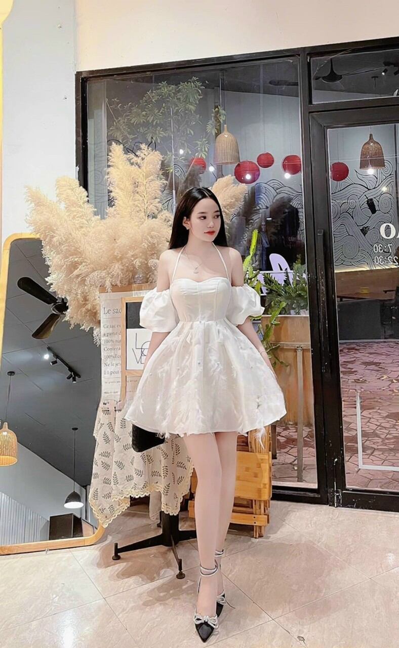 Đầm xòe cup tay phồng đính lông