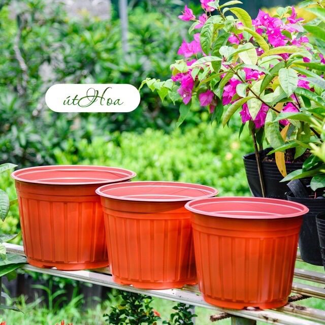 Chậu nhựa nâu N35 size lớn nhất