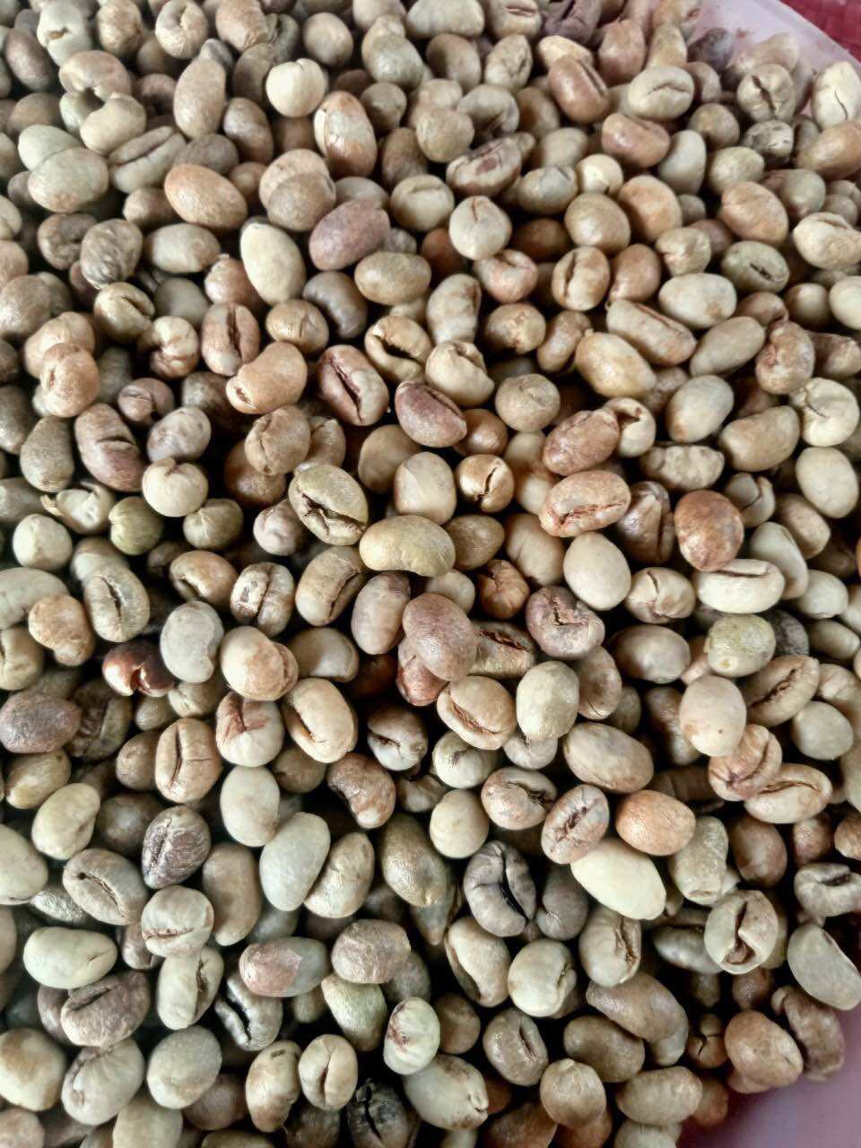 Combo 5kg cà phê Culi robusta